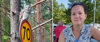 Hon fick se ugglan på vägskylten: "Häftig upplevelse"