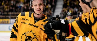 Skellefteåtalangen hyllas i Edmonton