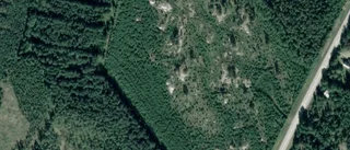 51-åring ny ägare till gård i Ånäset - prislappen: 2 000 000 kronor