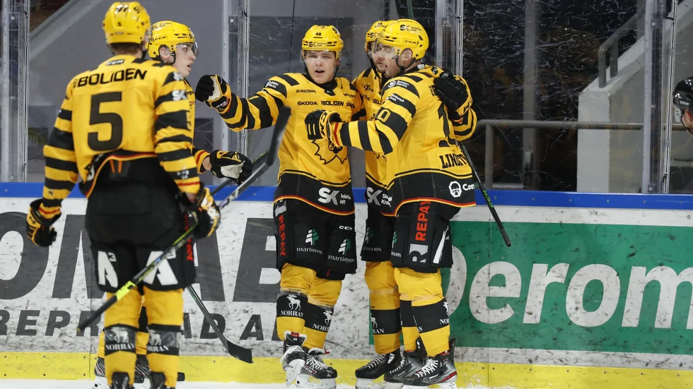 Gulsvart jubel. Jonatan Berggren, i mitten, klappas om efter 2–2-kvitteringen i norrderbyt som Skellefteå vann efter straffar.