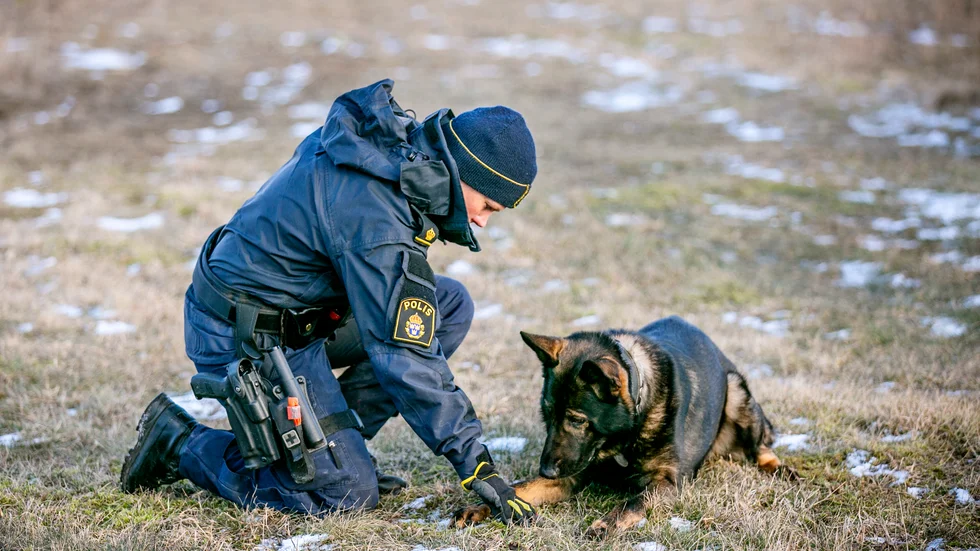 Två av männen hittades först när en polishund spårat upp dem. Polisen och hunden på bilden har ingen koppling till fallet i texten.