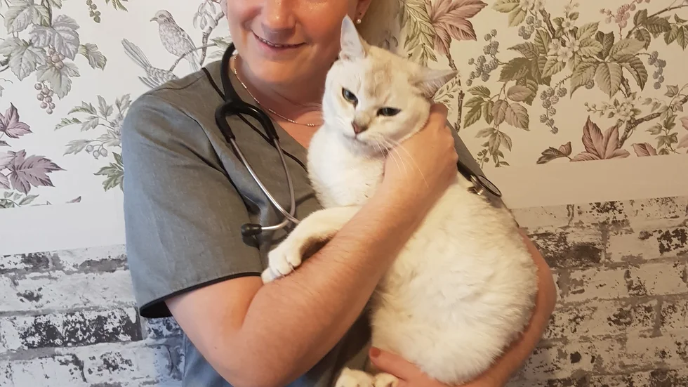 Veterinären Anna Edengren tycker att det personliga bemötandet är viktigt. – Jag har alltid jobbat för bra kommunikation med djuren och deras djurägare, säger hon. 