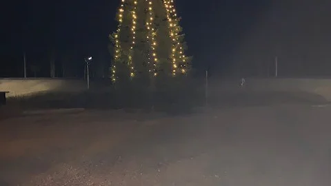 Julgranen står nu grön och grann i Anttis.