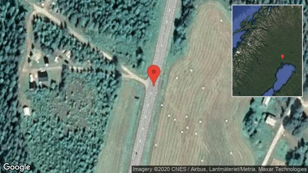 Renar på vägen på E10