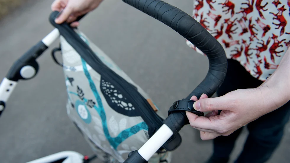 Kvinnan har dömts för fejkade försäljningar av barnvagn, barnvagnstillbehör, med mera.