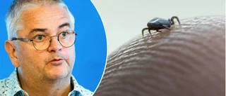 Två fall av borrelia upptäckta i Luleå: "Ovanligt"