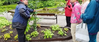Källboparken – en grön oas mitt bland hyreshusen