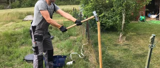 Kalle försöker skydda sina djur mot vargen