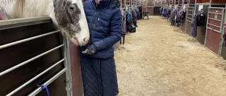Oro för tältande hästar och nyårsraketer 