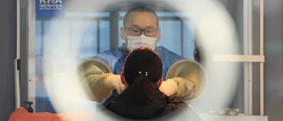 Muterade virus bekräftade i Finland