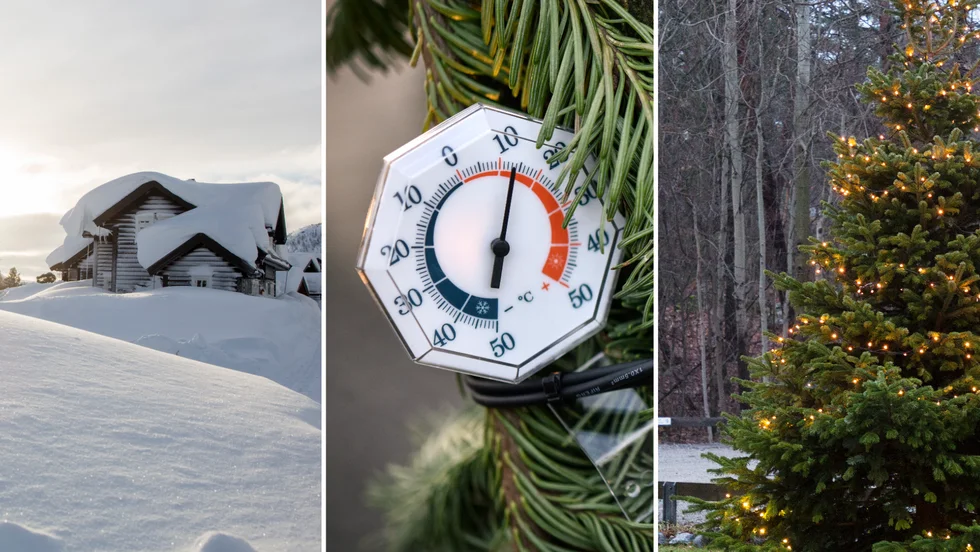 I takt med att temperaturen ökar minskar antalet dagar med snö i vårt område. När artikeln skrivs står det och väger om det ska bli snö eller grönt på julafton i Skellefteå.