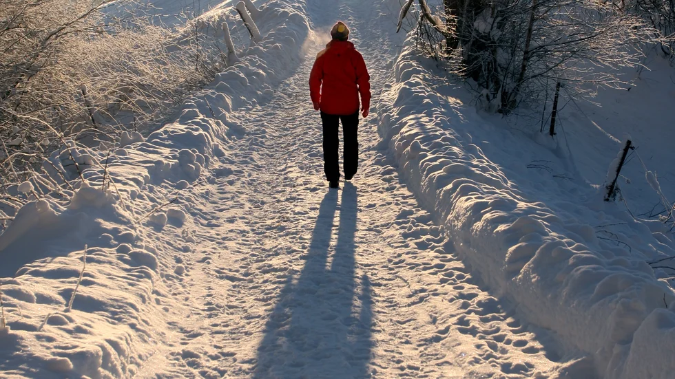 Någon snö blir det inte på julafton i år, men solen får vi i alla fall se.