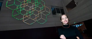 Internationell konstnär gör om i Nyköpings gymnasium