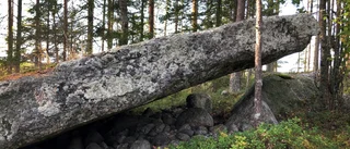 Läsarbilden                   