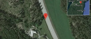Häst på vägen