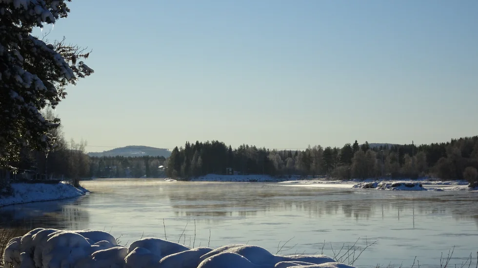 Piteälven i vinterskrud.