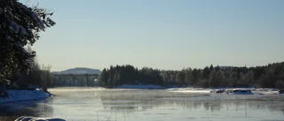Läsarbilden                   