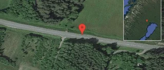 Fallna träd skapar problem i trafiken på väg 97