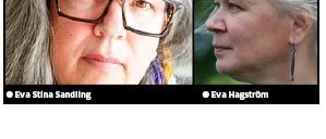 En glimt av det mångfacetterade 2020
