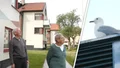 Måsar sätter skräck i kvarteret – boende vill ha skyddsjakt