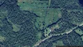 Skogen på Torpet 7 i Abborrträsk tas över