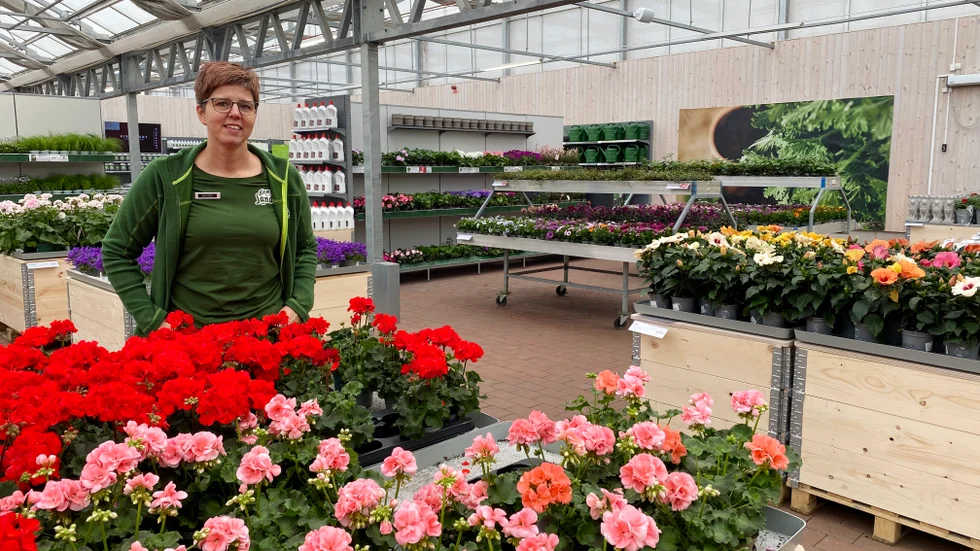 Madeleine "Madde" Andersson återvänder till välkända lokalerna i Bråstorp, den här gången som butikschef för Blomsterlandet.