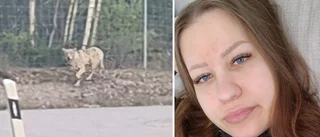 Sophias vargchock: "Jag är helt skakis"