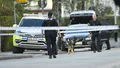 16-årig pojke gripen för trippelmordet