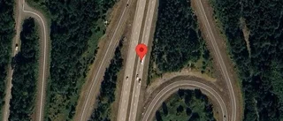 Rådjur på fel sida viltstängslet på E4
