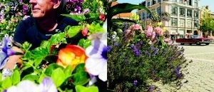 Stabil budget för blommorna
