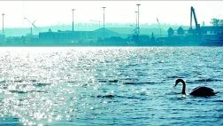 Behöver samarbetspartners. Västerviks hamn behöva sluta sig samman med de andra hamnarna i Kalmar län och Blekinge om en gemensam strategi. Det hävdar konsultföretaget Infraplan.Foto: Matilda Ahl