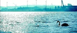Samarbete framtiden för Västerviks hamn