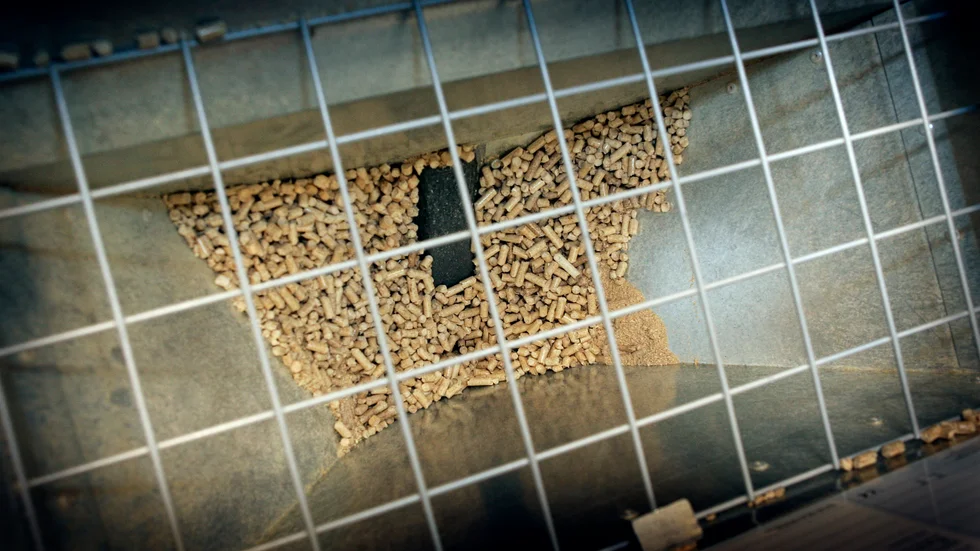 Exporten av pellets har minskat kraftigt från stora producenter som Ryssland, Ukraina och Belarus. Arkivbild.