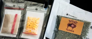 Spice minskar för första gången