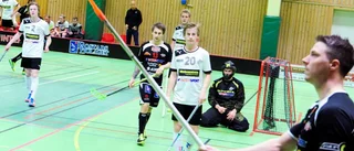 Nio poäng av Hirschman