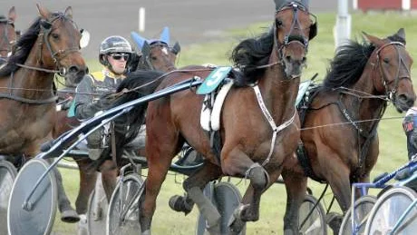 En av Jesper R Nilssons tvåor under helgens V75-tävlingar på Bodentravet. Petter Lundberg styrde duktige hästen Blue Zorro.