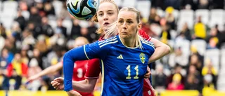 Fem spaningar: Det här duger inte, Sverige – det måste lösas nu