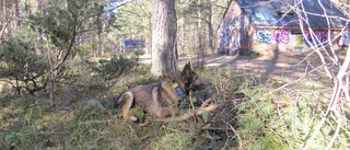 Misstänkta säljarna avlyssnades – efter jättefyndet i skogen