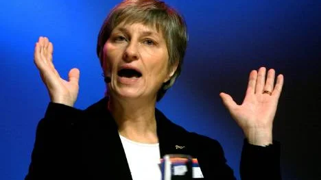 Den nationella jämställdhetsexperten Gertrud Åström ledde tisdagskvällens hearing. Hon konstaterade att även om Sverige är världens mest jämställda land så återstår mycket innan vi har full jämställdhet. FOTO: Bengt-Åke Persson