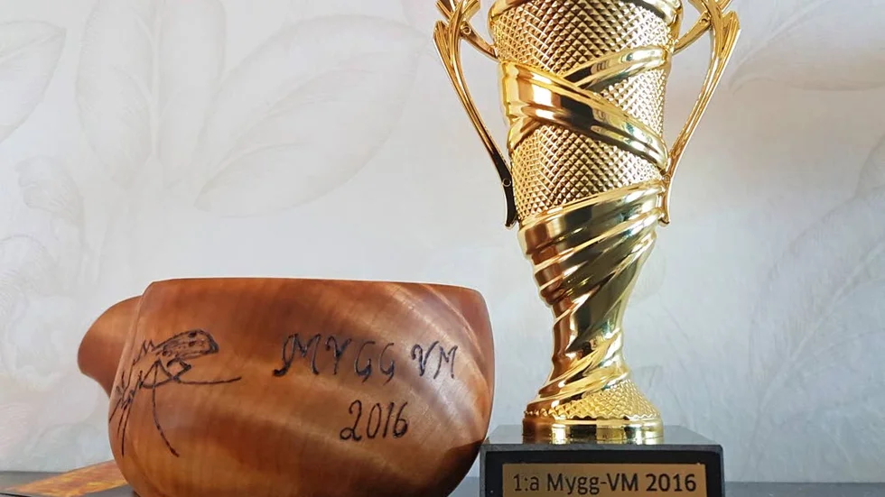Ära och berömmelse, samt pokal och kåsa ges till vinnaren av Mygg-VM.