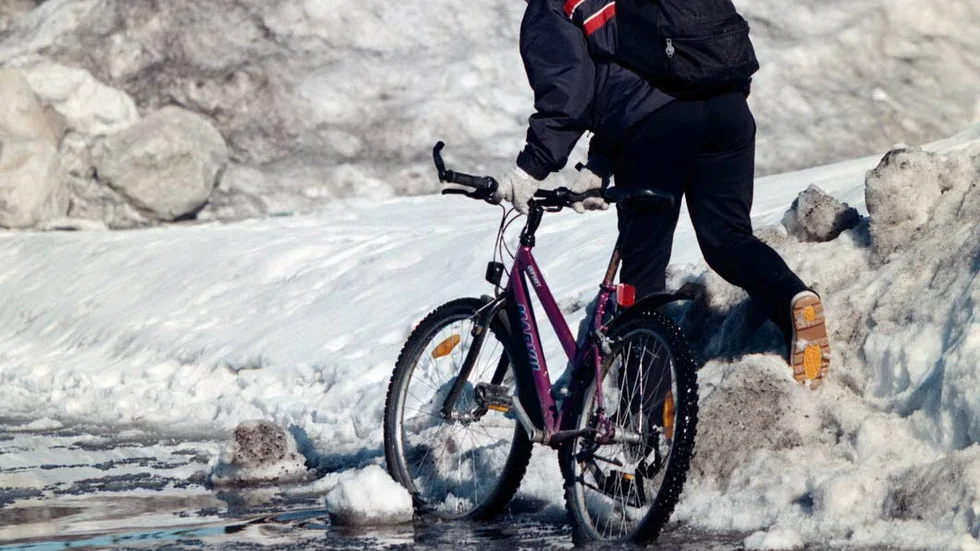 VINTERCYKLA? Luleå kommun, NTF Norrbotten och LTU vill underlätta för Luleåbor som vill cykla på vintern att ta reda på när cykelbanor är plogade. Allt för att få fler att cykla - året om.