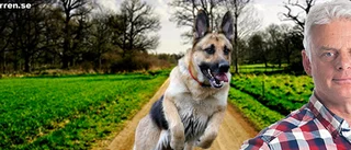 Mycket skäll efter hundkrönikan