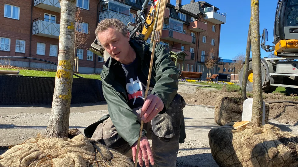 När hela installationen är klar kommer det att finnas en stig till konstverket, som kommer stå på en plan av jämtländsk kalksten.
