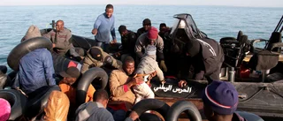 Över 200 döda migranter utefter Tunisiens kust