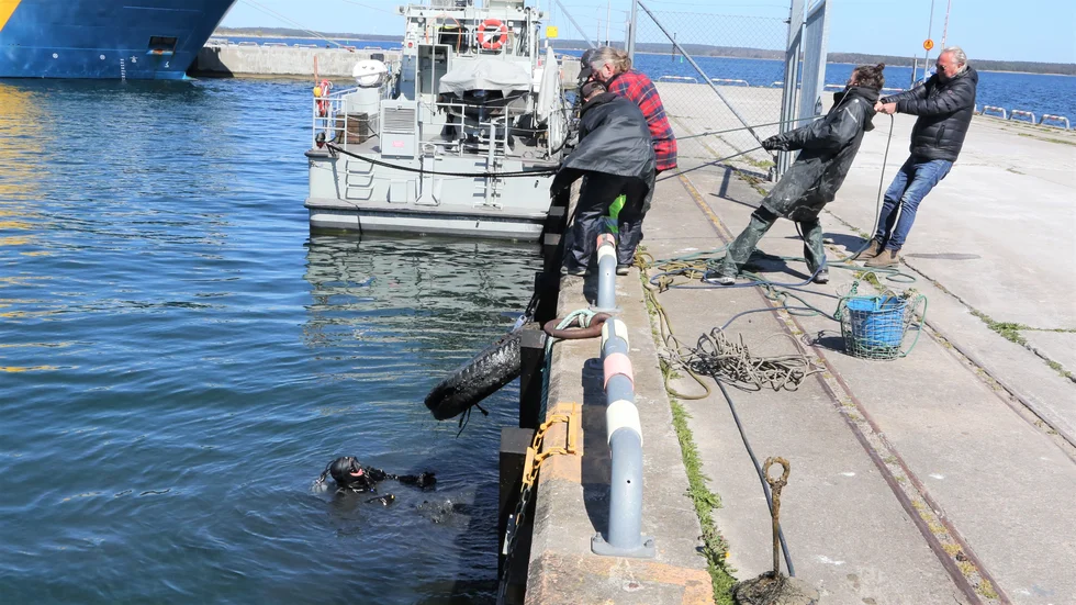 Med gemensamma krafter dras ett traktordäck upp ur hamnbassängen i Slite.