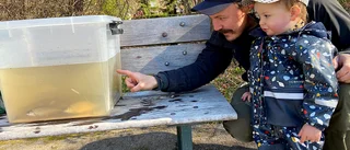 Se vad som döljer sig i Enköpingsåns djup