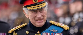 Monarkin ingen hit bland unga britter