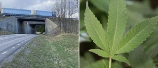 Knarkfynd vid vägkanten på E:4an