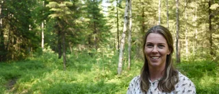 Så ska skogsområdet exploateras med nya bostäder