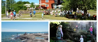 Det här är turisternas favorit i Tjust: "Ett drömställe"